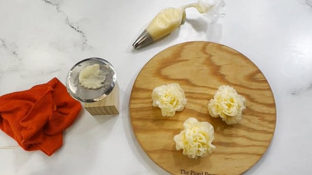 The Full Bloom Carnation